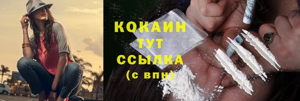 крисы Инта
