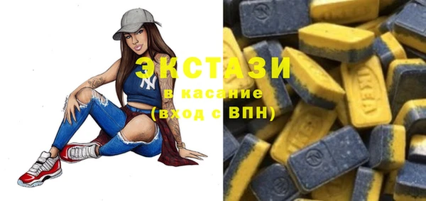 крисы Инта