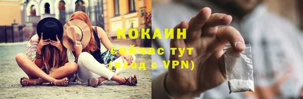 гашик Инсар