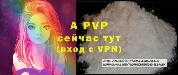 крисы Инта
