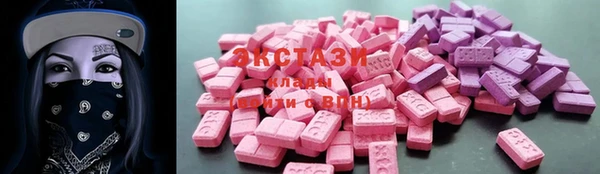 крисы Инта