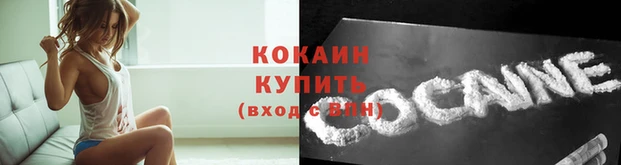 гашик Инсар