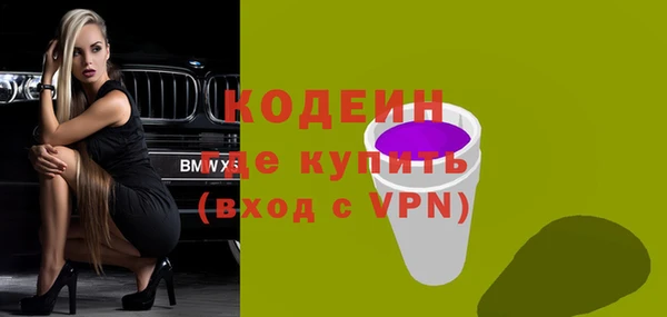 гашик Инсар