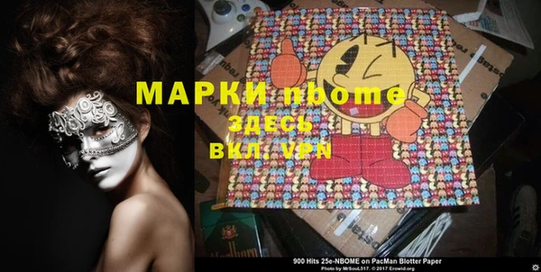 крисы Инта