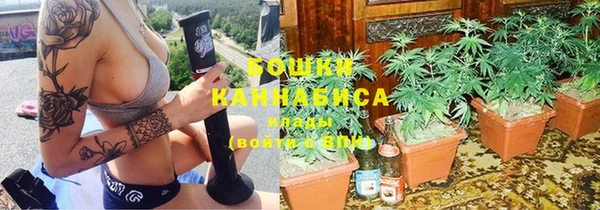 гашик Инсар
