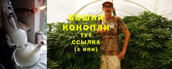 крисы Инта