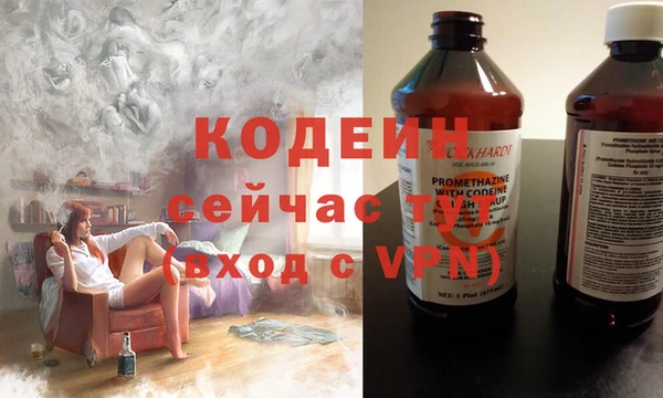 крисы Инта