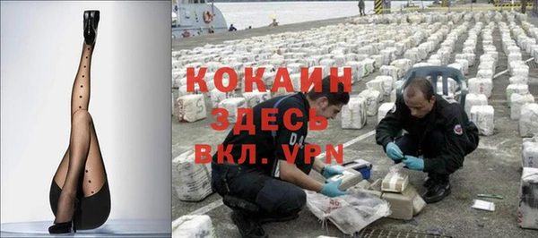 гашик Инсар