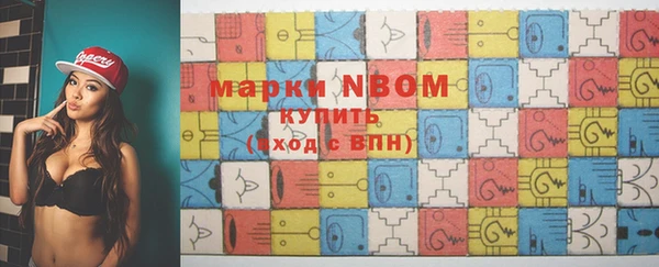 гашик Инсар