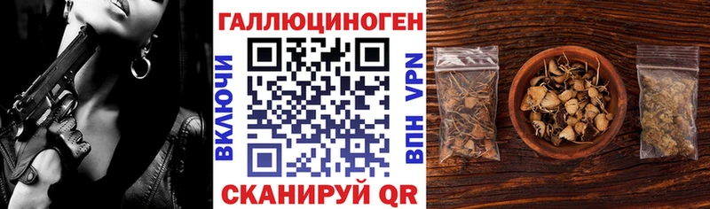 Псилоцибиновые грибы Magic Shrooms  Купить где  Ленинградская 