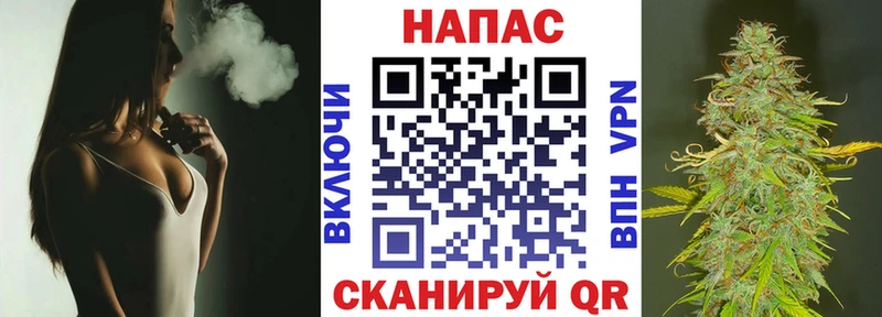 Купить  Ленинградская  Бошки марихуана AK-47 